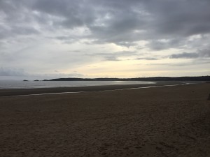 IMG_0502