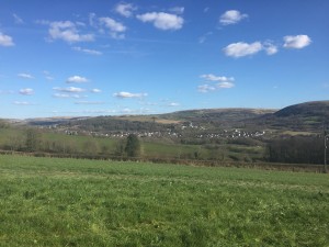IMG_1110