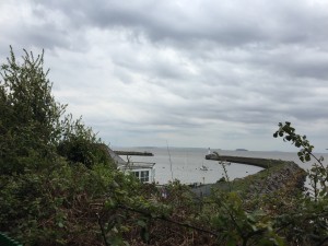 IMG_1290