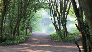 _58494739_cosmeston